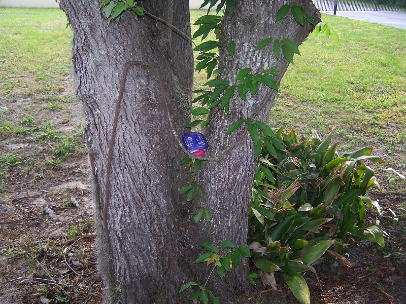 100_6941.JPG - The geocaches were placed in plain site to make it easier for the kids to find them.