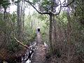 DSCF0041