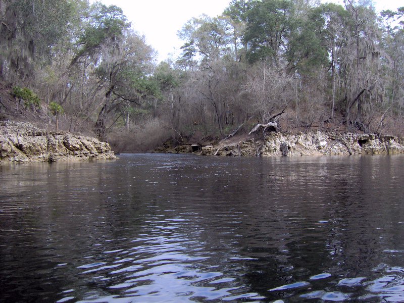 Junction of the Alapaha River