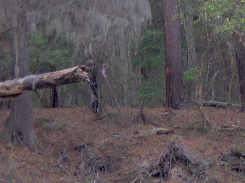 Florida Trail